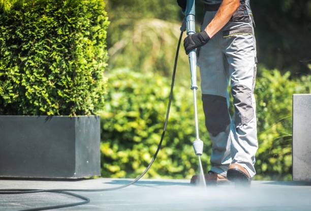 Best House Exterior Washing  in Pineland, TX