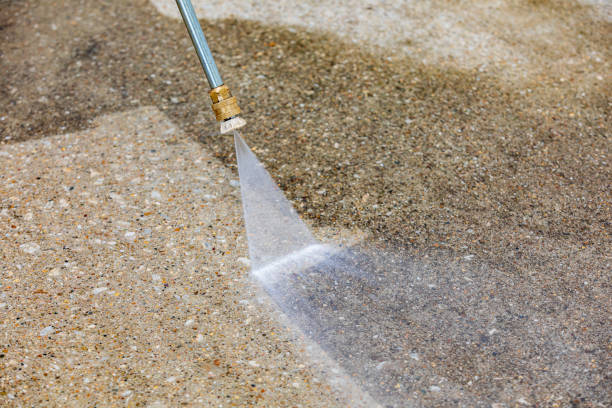 Best Building Exterior Washing  in Pineland, TX