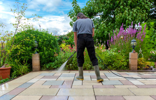 Best Fence Cleaning  in Pineland, TX