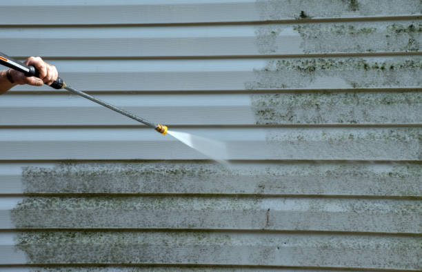 Best Gutter Cleaning  in Pineland, TX