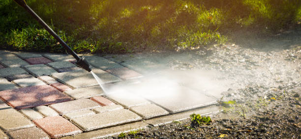 Best Warehouse Cleaning  in Pineland, TX