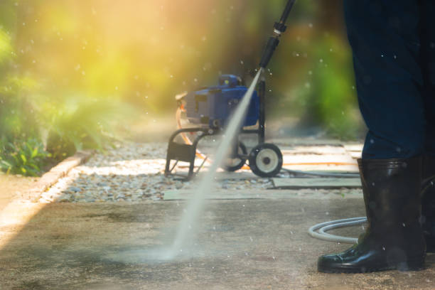 Best Fleet Vehicle Washing  in Pineland, TX